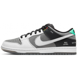 Nike SB Dunk Low VX1000 Camcorder