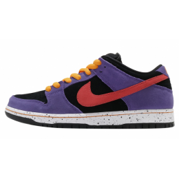 Nike SB Dunk Low Pro ACG Terra